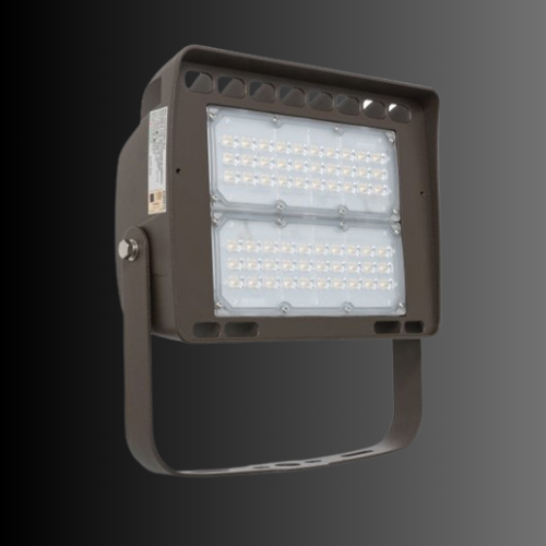 LF4 80W Architectural Series LED Flood Light with Trunnion