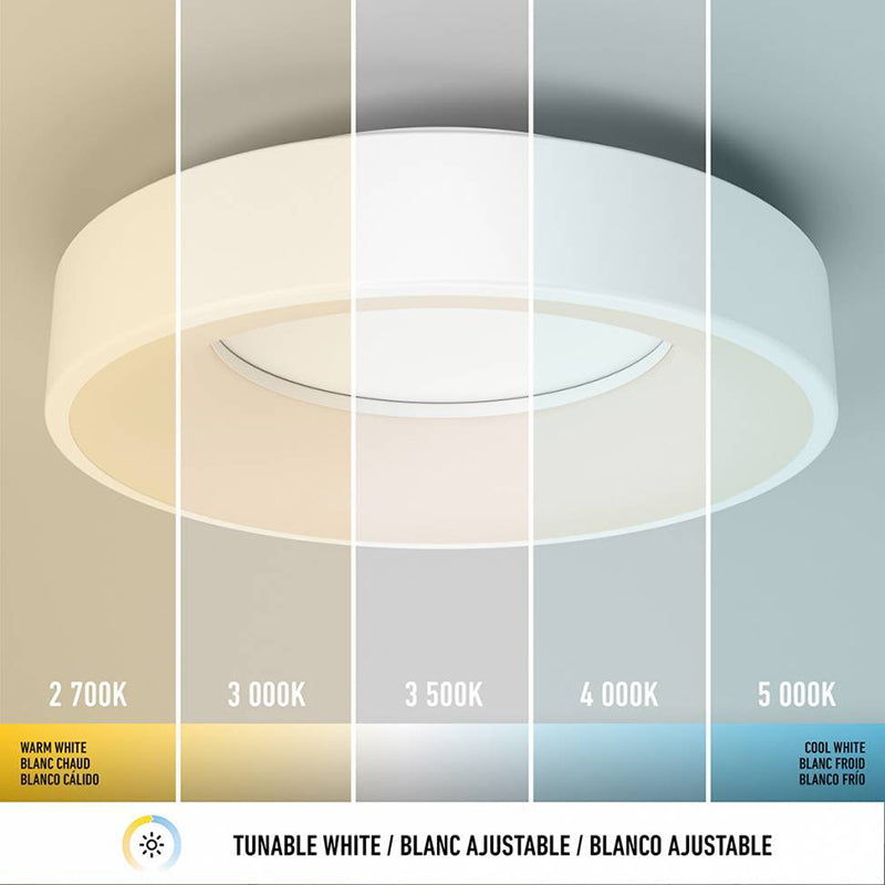 FM-AIC Alden 1-lt 13" LED Flush Mount, CCT