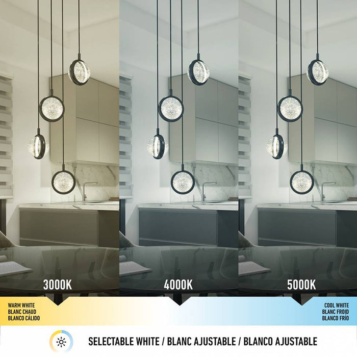 PDT4-AVC-HD2BL Avalon 4-lt 12" LED Pendant, CCT