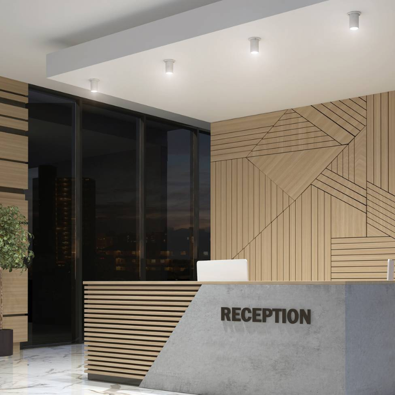 4FM-BP Beam Pro 1-lt 5" LED Flush Mount/Pendant