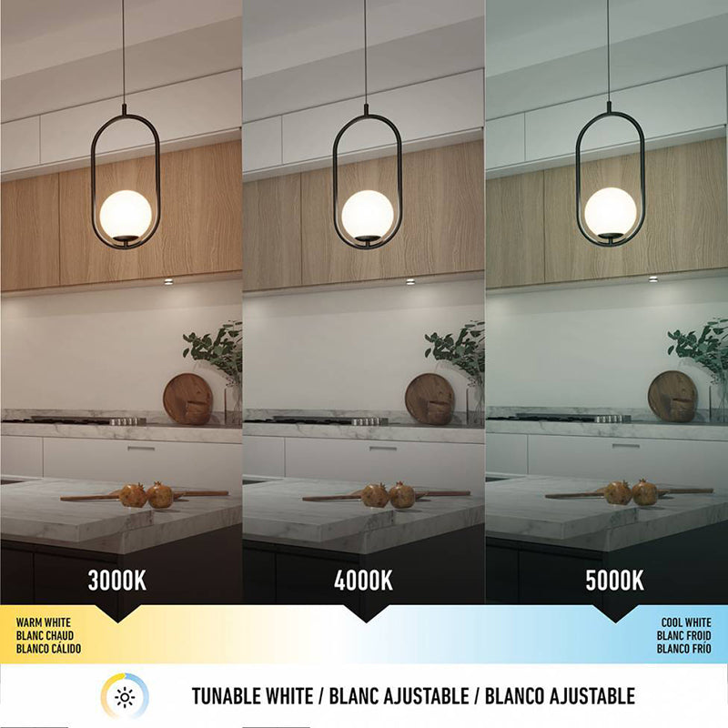 PDT-BM-BL Bloom 1-lt 7" LED Pendant, CCT