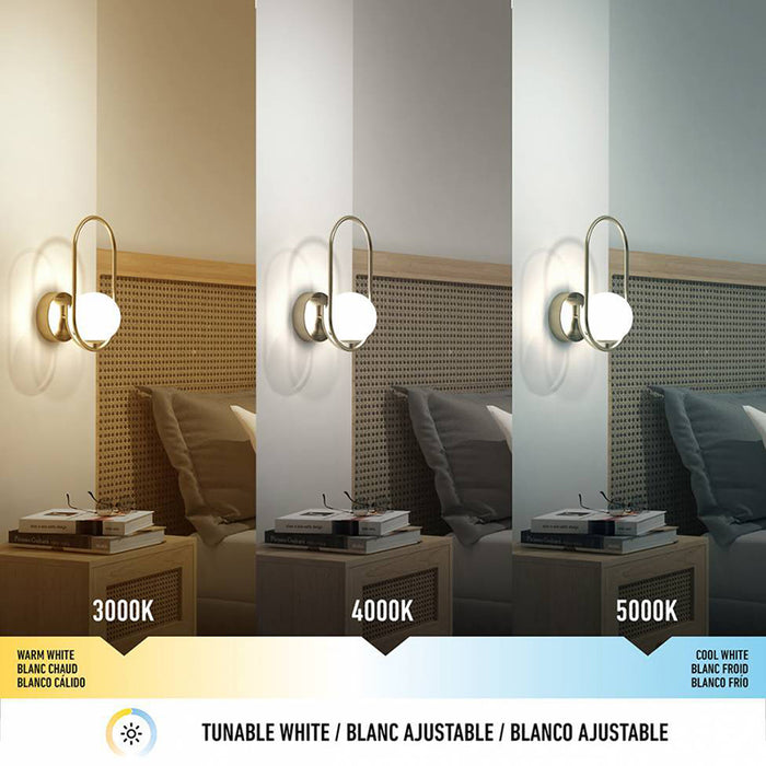 SCO-BLC Bloom 1-lt 13" Tall LED Wall Sconce, CCT