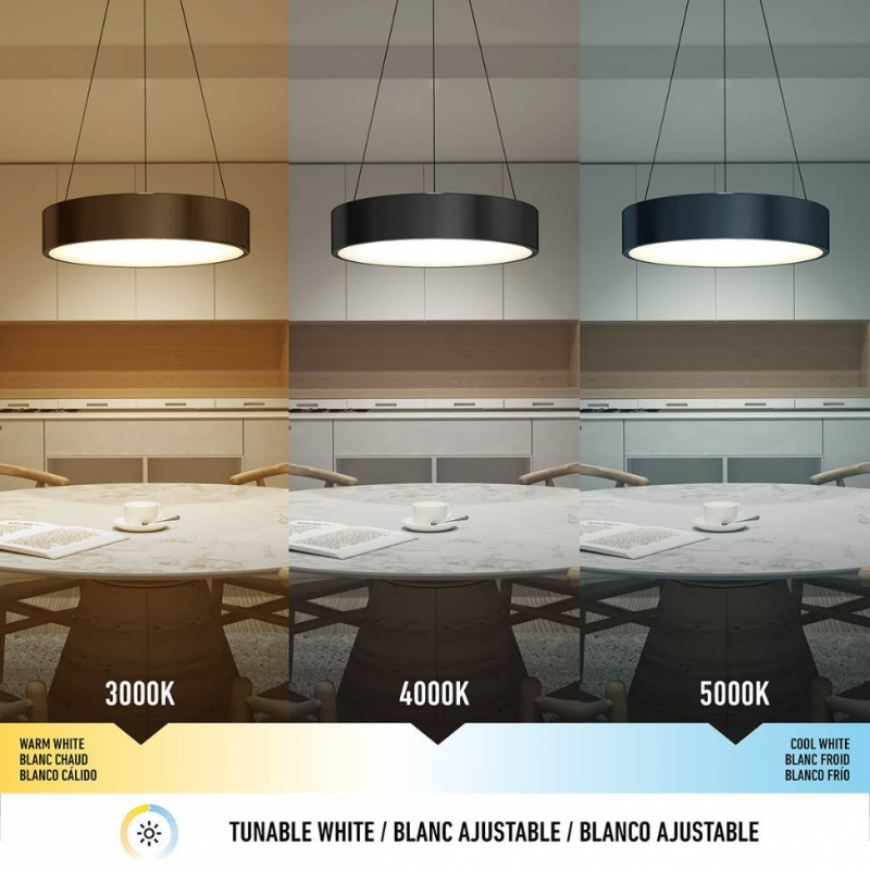 PDT-COC Concerto 1-lt 20" LED Pendant, CCT