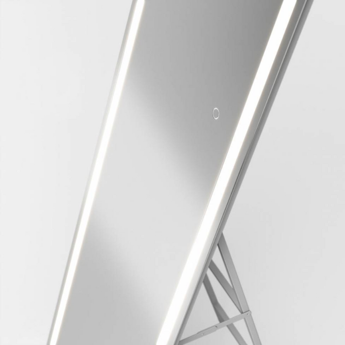 DMIRP-EMC Emeraude 60" x 20" Rectangle LED Floor Mirror