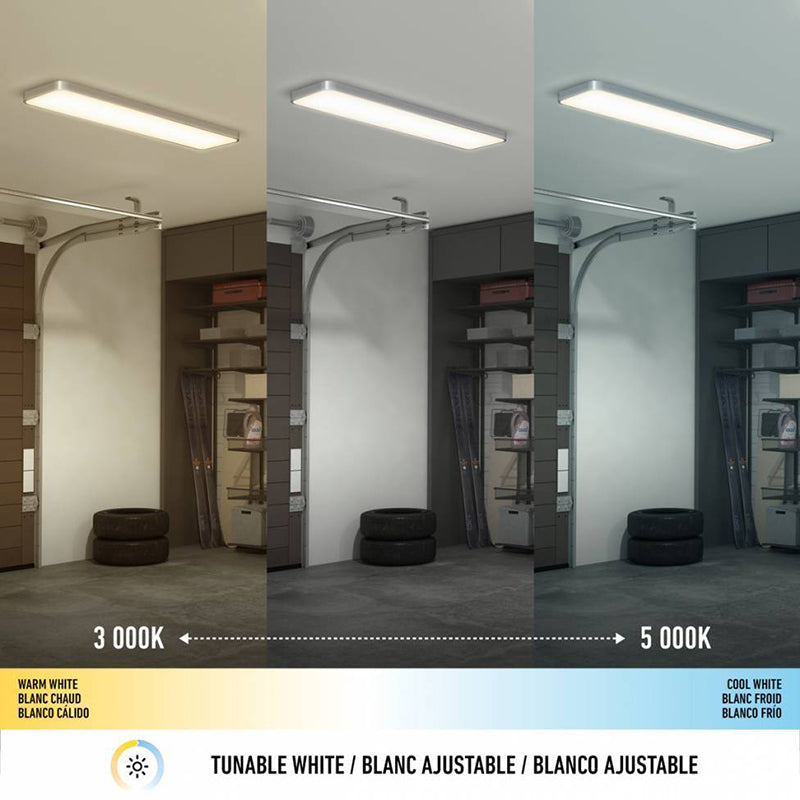 FM14-EUR-MG Europa 1-lt 48" LED Flush Mount with Remote, CCT