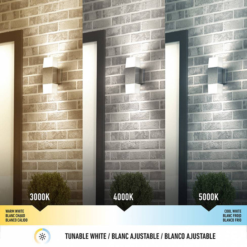 OUT-LEC-SS Lennox 12" Tall LED Outdoor Wall Light, CCT