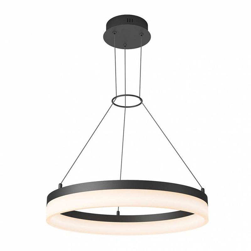 RG25WC-WD Optical 1-lt 20" LED Pendant, CCT