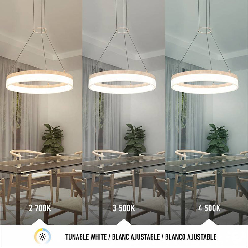 RG25WC-WD Optical 1-lt 20" LED Pendant, CCT