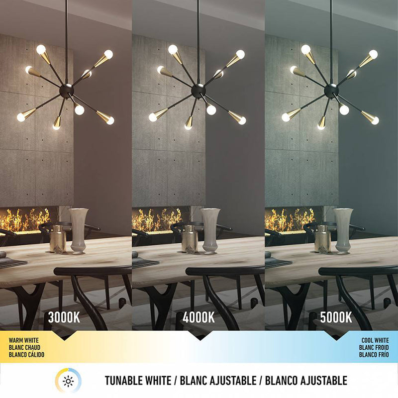 PDT-SPC-BGJ Wayden 24" LED Pendant, 3 CCT