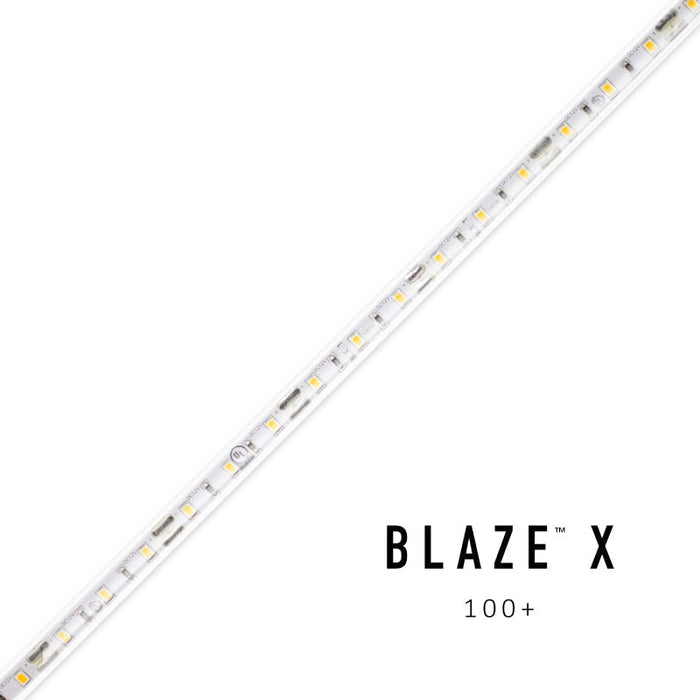 BLAZE X Wet location 100 1.54W/ft LED Tape Light, 12V, 100-ft, 3000K
