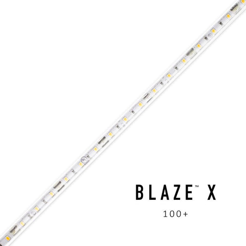 Diode LED BLAZE X Wet location 100 1.54W/ft LED Tape Light, 24V, 16-ft, 2700K