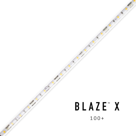 Diode LED BLAZE X Wet location 100 1.54W/ft LED Tape Light, 12V, 16-ft, 2700K