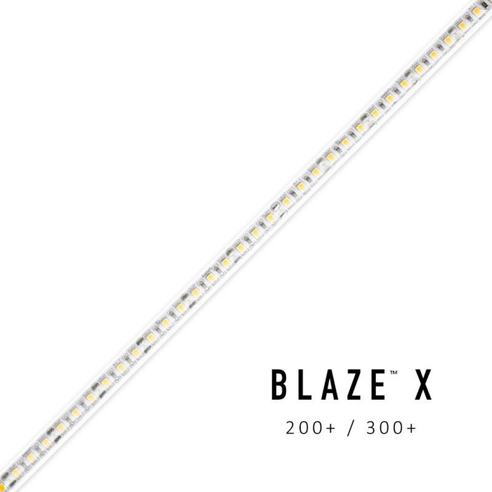 BLAZE X Wet location 300 4.3W/ft LED Tape Light, 24V, 16-ft, 2700K
