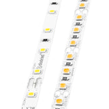 Diode LED BLAZE X 100 1.54W/ft LED Tape Light, 24V, 16-ft, 4200K