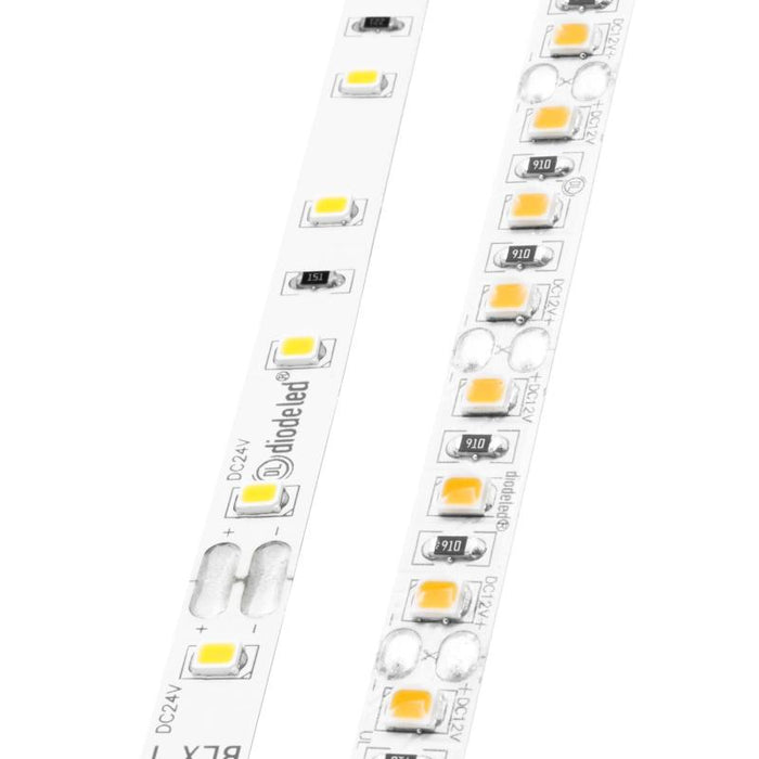 Diode LED BLAZE X 300 4.3W/ft LED Tape Light, 24V, 100-ft, 3500K