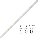 Diode LED BLAZE Wet Location 100 1.46W/ft LED Strip Light, 12V, 100ft, 2700K