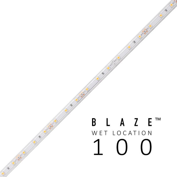 BLAZE Wet Location 100 1.46W/ft LED Strip Light, 24V, 100ft, 5000K
