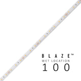 Diode LED BLAZE Wet Location 100 1.46W/ft LED Strip Light, 24V, 16ft, 5000K