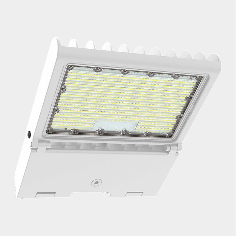 LFXPRO 50W/80W/100W/150W LED Flood Light, CCT