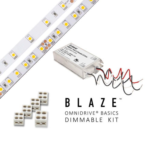 Diode LED Blaze 24V LED Tape Light Kits, OMNIDRIVE BASICS Power Supply, 100lm